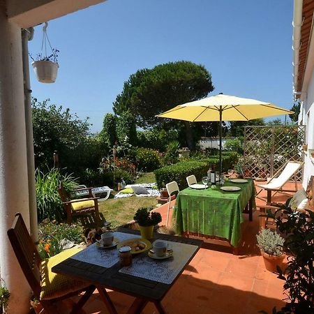 Happy Cat House - Holiday Rental São Martinho do Porto Eksteriør bilde