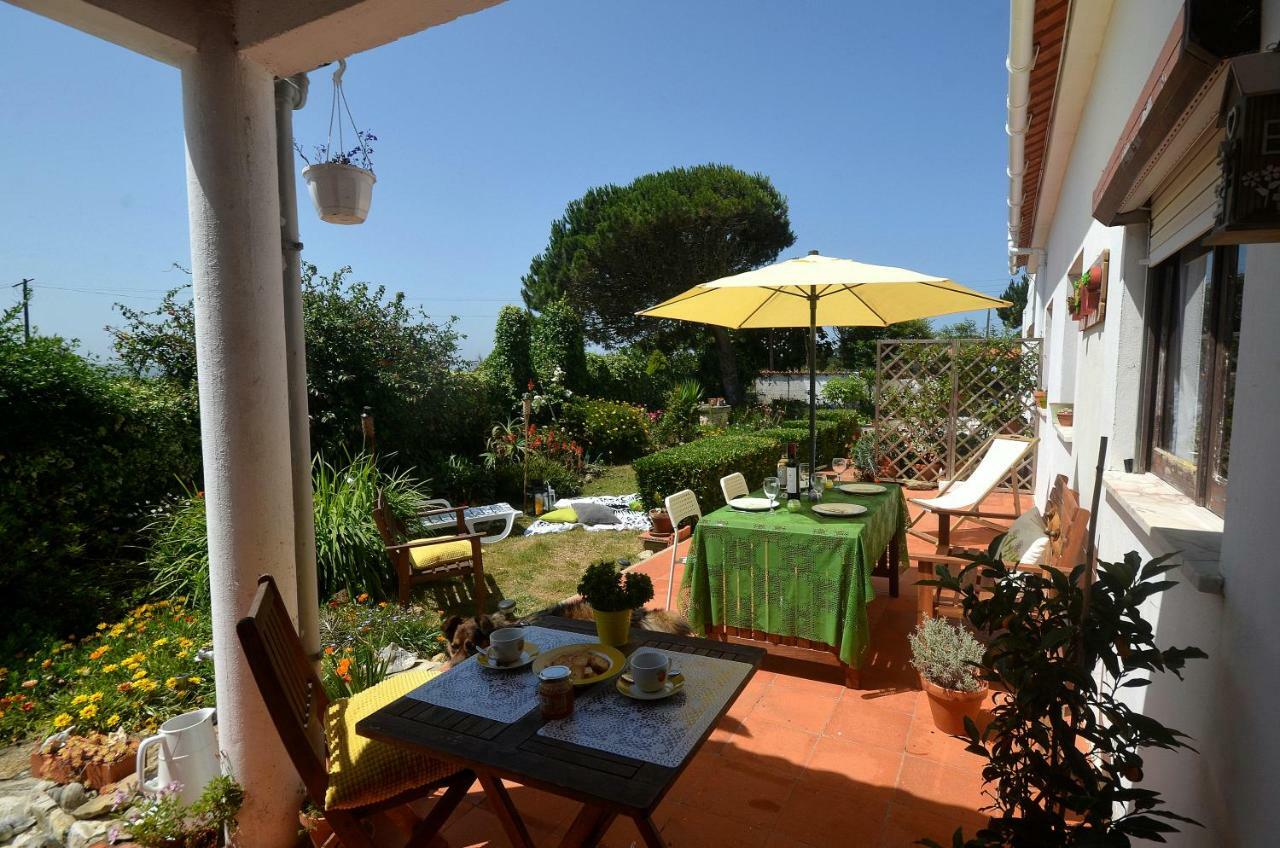 Happy Cat House - Holiday Rental São Martinho do Porto Eksteriør bilde