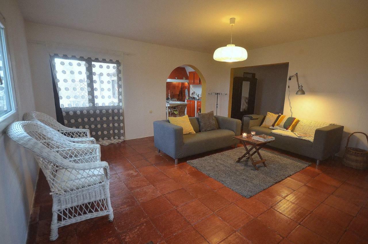 Happy Cat House - Holiday Rental São Martinho do Porto Eksteriør bilde