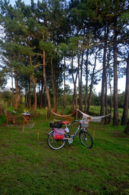 Happy Cat House - Holiday Rental São Martinho do Porto Eksteriør bilde