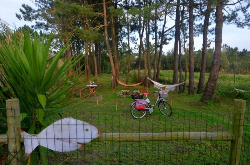 Happy Cat House - Holiday Rental São Martinho do Porto Eksteriør bilde