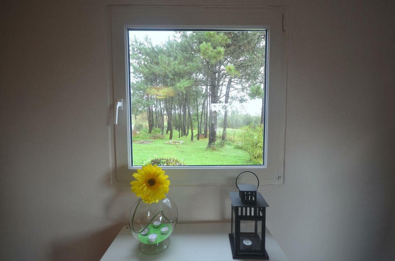 Happy Cat House - Holiday Rental São Martinho do Porto Eksteriør bilde
